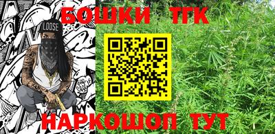 гидра Рузаевка