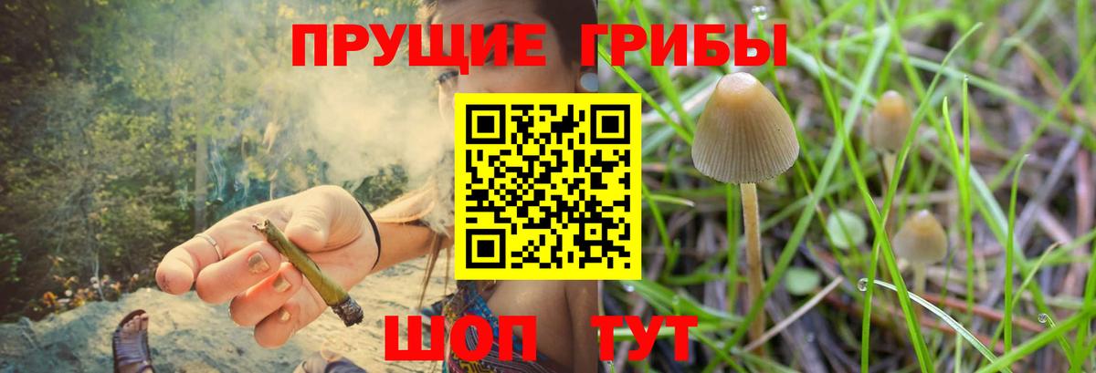Галлюциногенные грибы MAGIC MUSHROOMS Петропавловск-Камчатский